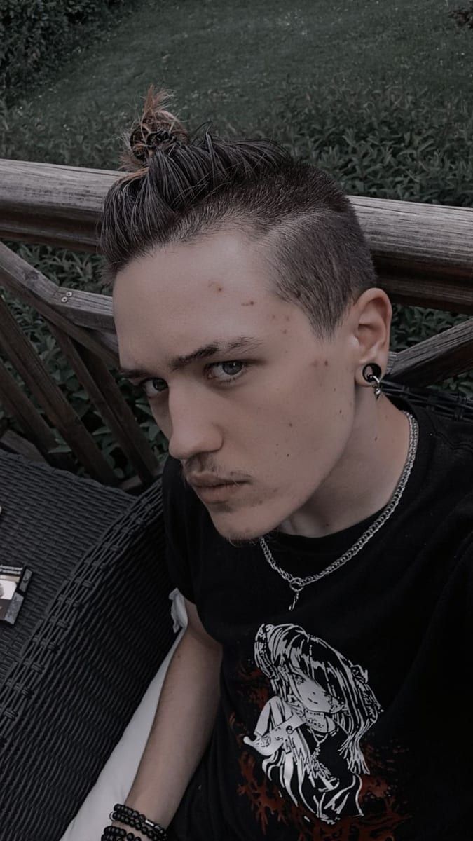 Profil de Ludvik